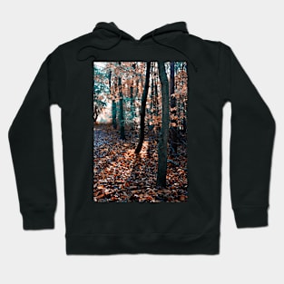 Autumn Woods Hoodie